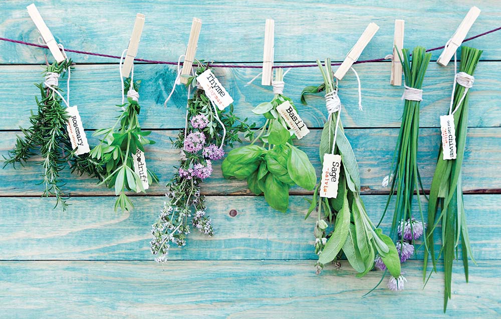 Growing your own herbs is a gratifying  gateway to gardening