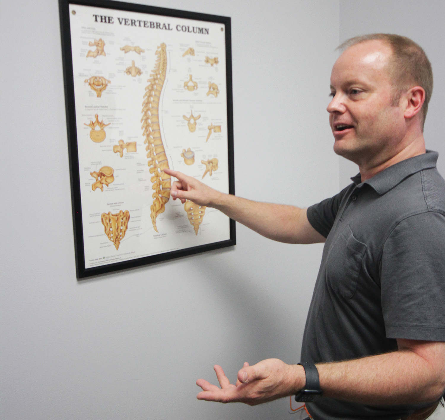 Chiropractors Love Your Skeleton
